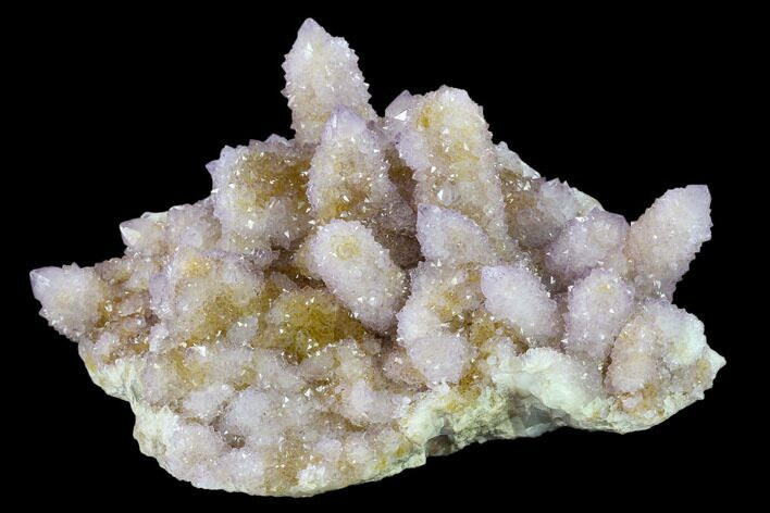 Cactus Quartz (Amethyst) Crystal Cluster - South Africa #132531